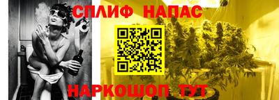 стаф Моздок