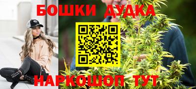 стаф Моздок