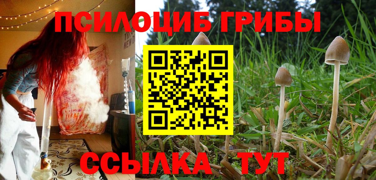 Псилоцибиновые грибы мицелий  Вход с VPN  Сердобск  Псилоцибиновые грибы Magic Shrooms 
